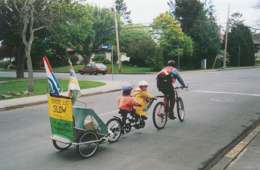 Swallow drawn by an Oak and Orca School teacher