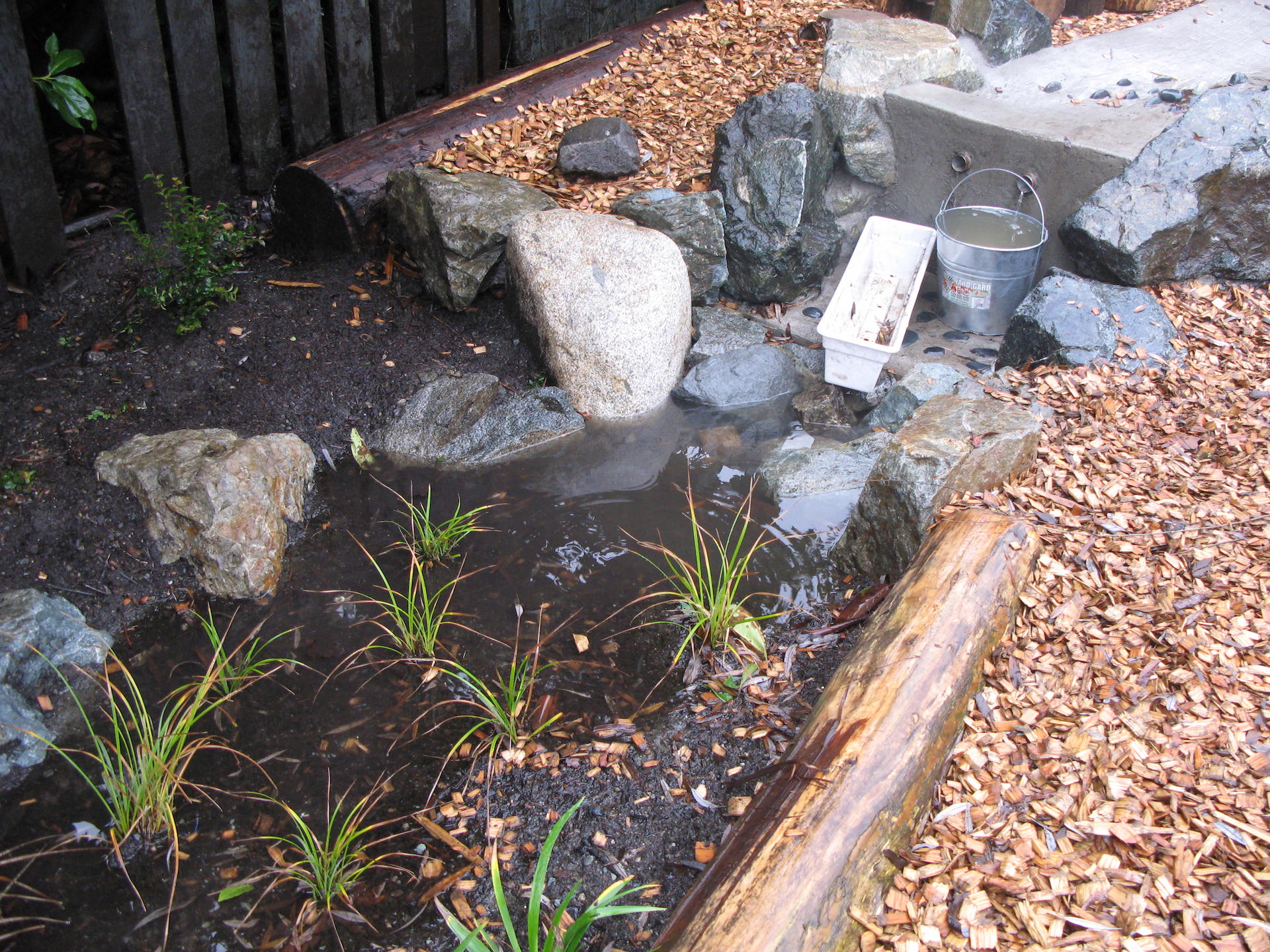 Oak and Orca School's Rain Garden